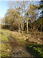 Ford on the byway to Airy Holm Farm