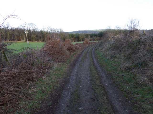 Byway from Broomley to Ridley
