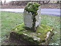 NY9068 : Remains of medieval cross south of Walwick Grange by Andrew Curtis