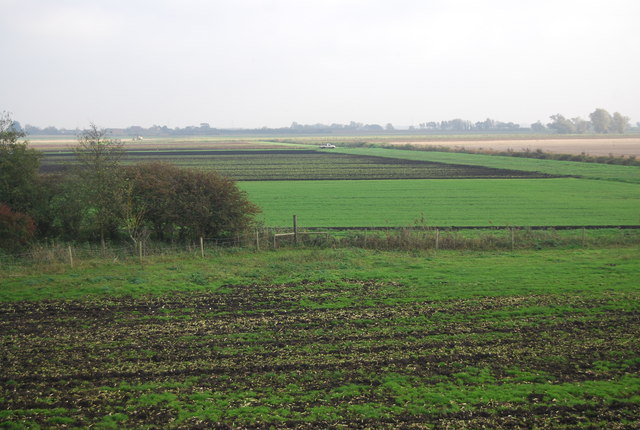 Flat fenland farmland
