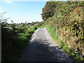 Lurgancullenboy Road approaching the lough