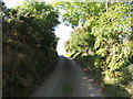 A sunken lane section of Lurgancullenboy Road