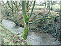 Black Brook at the overflow from the Gate Head Mill dam