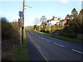 Houses on New Ridley Road, Painshawfield