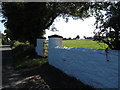 White-washed field gate pillars on the Glasdrumman Road