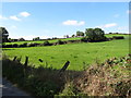 Grazing land on the north side of Cortreasla Road