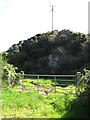 Disused quarry on the south side of Cortreasla Road