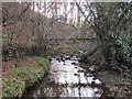 Footbridge over Darden Burn