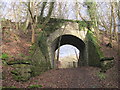 Old Railway Bridge, Hexham to Allendale Line