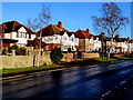 Ledbury Road houses in Hereford