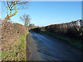 SJ5504 : On the lane into Upper Cound by Richard Law