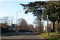 Chester Road heading north-west