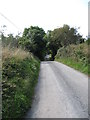 H9615 : View along Cortreasla Road west of the junction with Carnally Road by Eric Jones