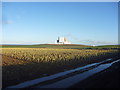 NT7374 : East Lothian Landscape : Who Ate All The Sprouts? by Richard West