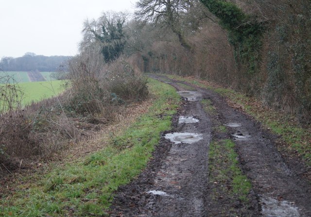 Farm track south of Whitnal
