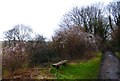 Seat by the Meon Valley Trail