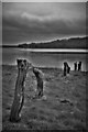 Cleddau River near Boulston