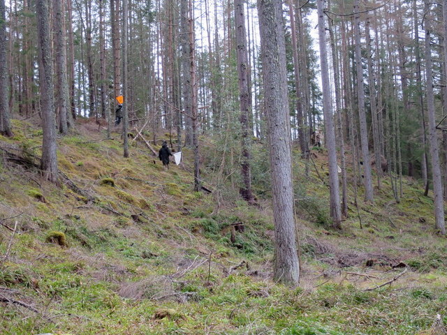 Almost there......beaters emerge from Boga Wood