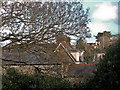 Grenville House and beyond as seen from a rear window at 46 Mill Street