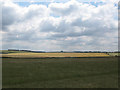 SU1241 : Large wheatfield on Salisbury Plain by Stephen Craven