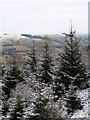 Across the Wye Valley from Esgair Ychion