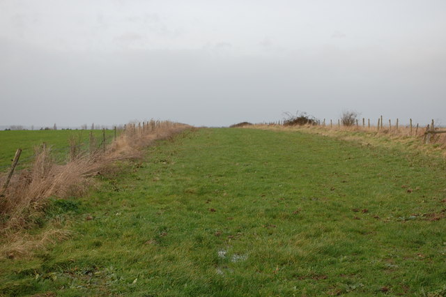 A wide drove way between arable fields 