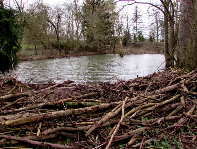 Pond, Ruxton © Jaggery :: Geograph Britain And Ireland