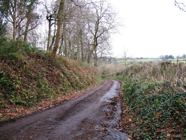 Road near Trumpeter