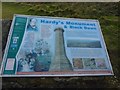 SY6187 : Information Board at Hardy Monument, Black Down by Becky Williamson