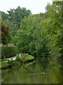 Peak Forest Canal west of Newtown, Cheshire