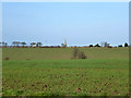 View over farmland towards Thaxted