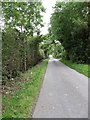 View NNW along a tree-lined section of  Drumalt Road