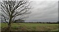 North Wheatley from Muspit Lane