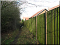 Path into Poringland Community Wood