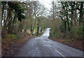 Lane near Bough Beech reservoir