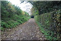 Fynn Valley Walk, Little Bealings