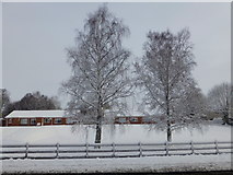 H4672 : Trees with a dusting of snow, Hospital Road, Omagh by Kenneth  Allen