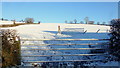 Snowy field north of Talyllyn