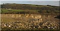 Goddards Quarry