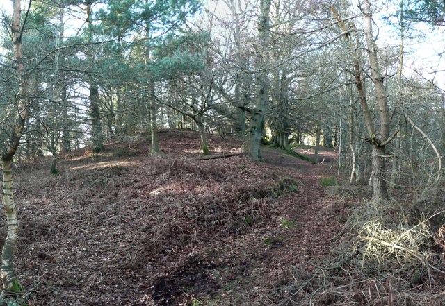 Hill fort on Castle Hill east of Callaly