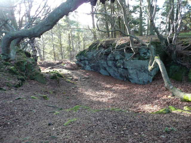 A possible approach to hill fort on Castle Hill, Callaly