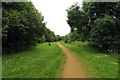 Path along the River Bure