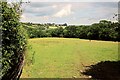 Field above the Taw valley