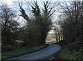 Highwood Lane near Gorse Covert