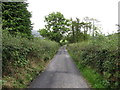 View east along Lough Road