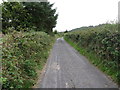 The sylvan Lough Road. Mullaghbawn