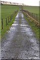 West Somerset : Farm Track