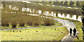 J3067 : Paths and river, Dixon Park, Dunmurry (January 2015) by Albert Bridge