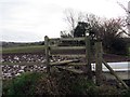 Llwybr Bevexe Fawr / Bevexe Fawr path