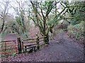 Llwybr Dyfnant / Dunvant Path